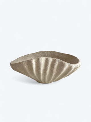 Shell Bowl