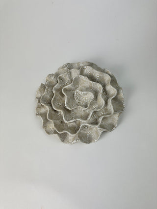 Wall Coral No. 04199