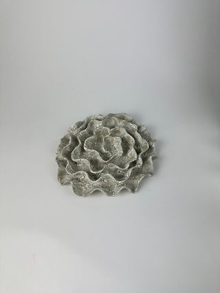 Wall Coral No. 04198