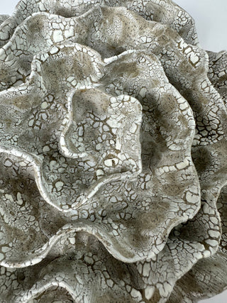 Wall Coral No. 04198