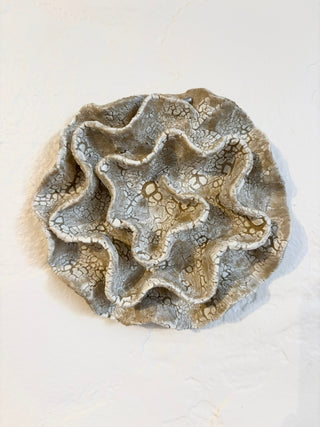 Wall Coral no 04263 - Set of Three