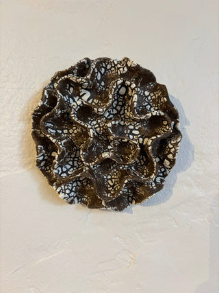 Wall Coral no 04260