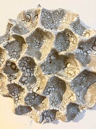 Wall Corals No. 04262 - Set of Three