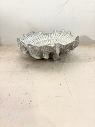 Ammonit Bowl no 0547