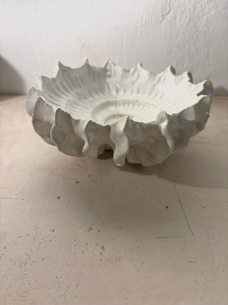 Ammonit Bowl no 0551