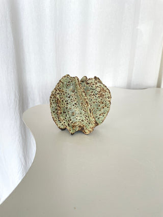 Coral Sculpture No. 0718