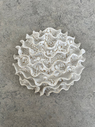 Wall Coral No. 04170