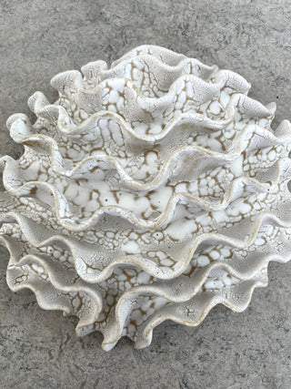 Wall Coral No. 04170