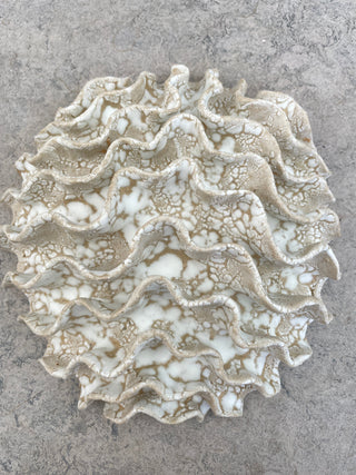 Wall Coral No. 04171