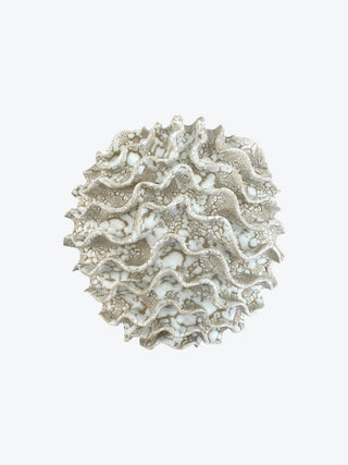 Wall Coral No. 04171