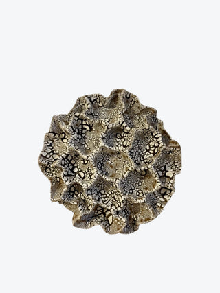 Wall Coral No. 04271