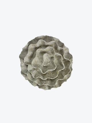 Wall Coral No. 04199