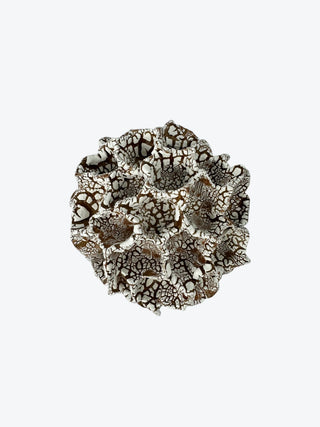 Wall Coral No. 04254