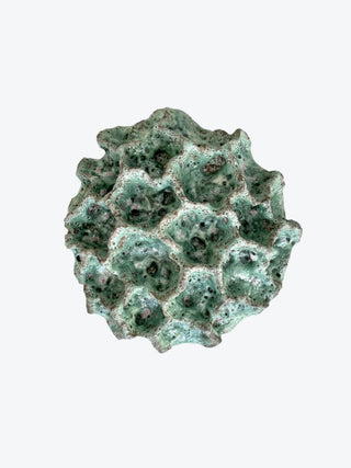 Wall Coral No. 04186