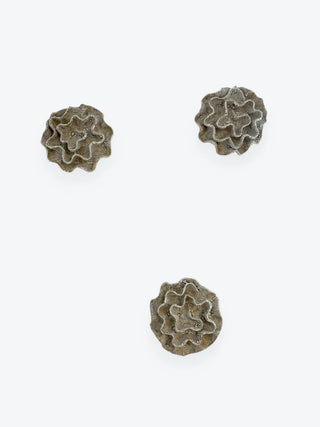 Wall Coral no 04263 - Set of Three