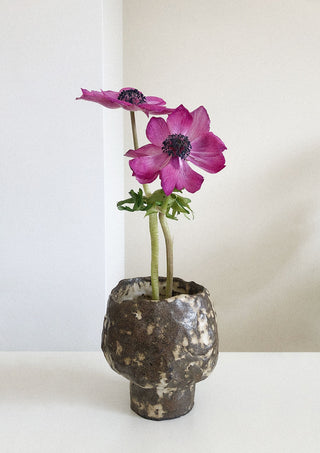 Goblet nº001 Vase